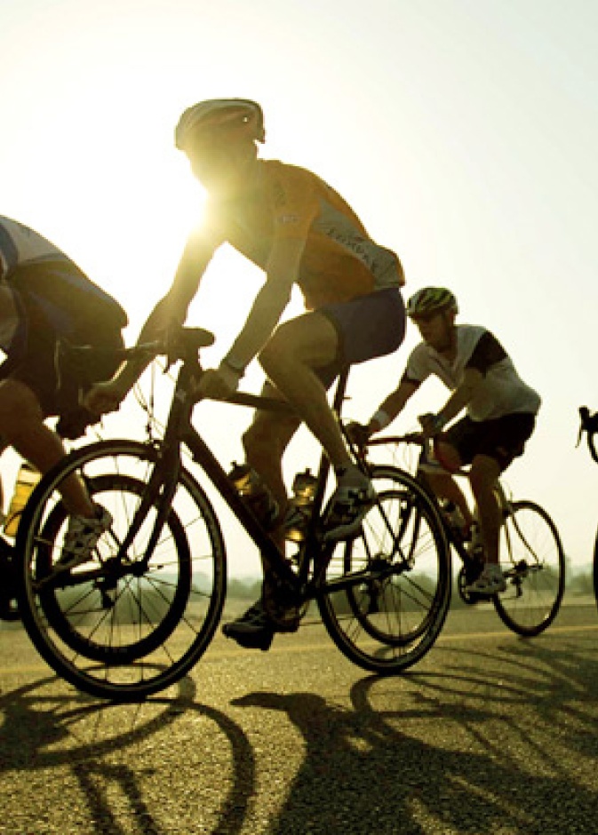 اعرفي ضوابط استخدام الدراجات الهوائية في دبي