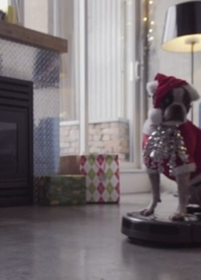 كلب يهنئ الجميع بأعياد الميلاد بطريقته الخاصة