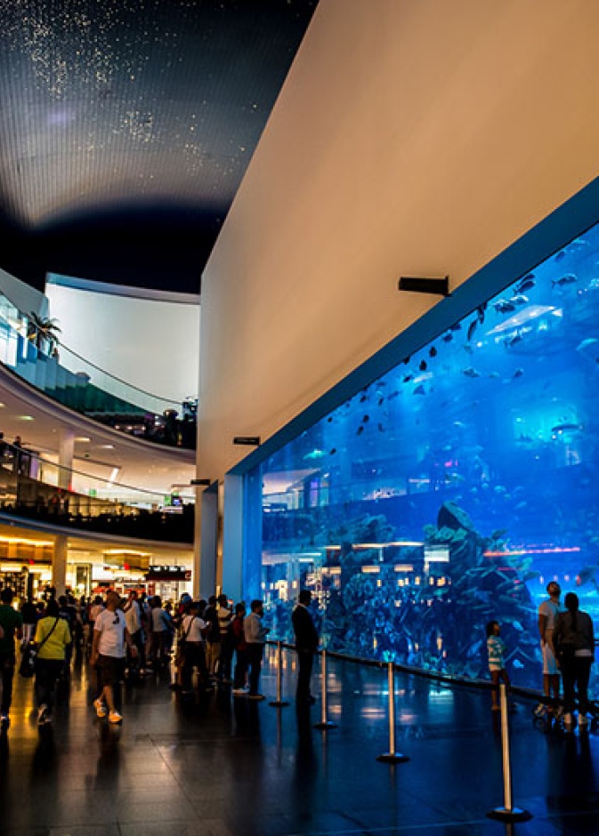 دبي أكواريوم وحديقة الحيوانات المائية