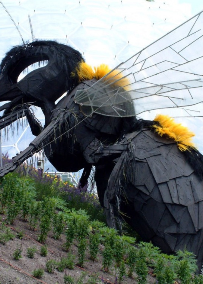 اصطحب أطفالك إلى "مشروع عدن" في كورنوال في إنجلترا