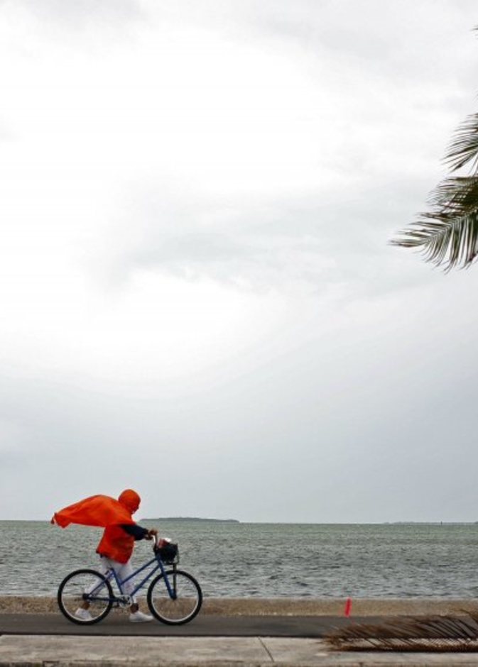 ايرما جاء على إثر هارفي