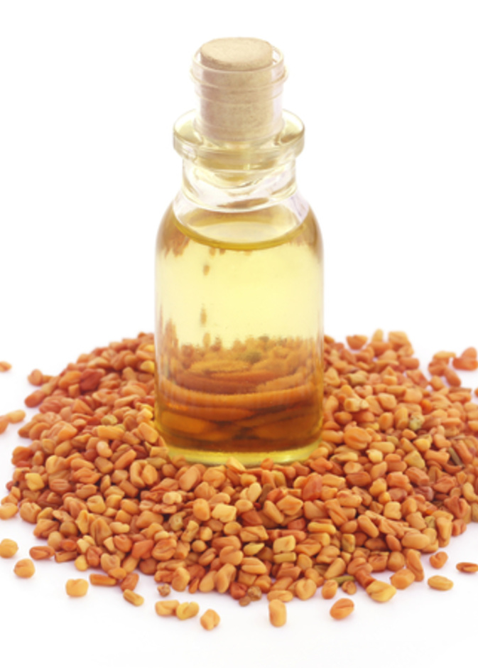 زيت الحلبة يقي من سرطان القولون