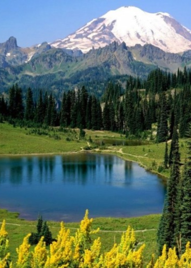 مدينة سوتشي