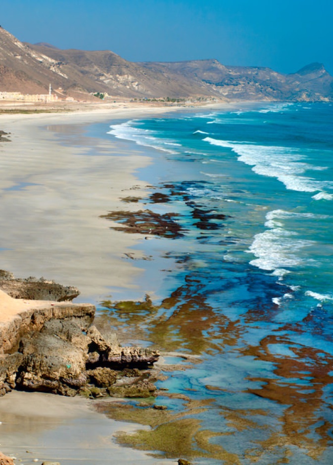 شواطئ المنطقة الشرقية الساحرة