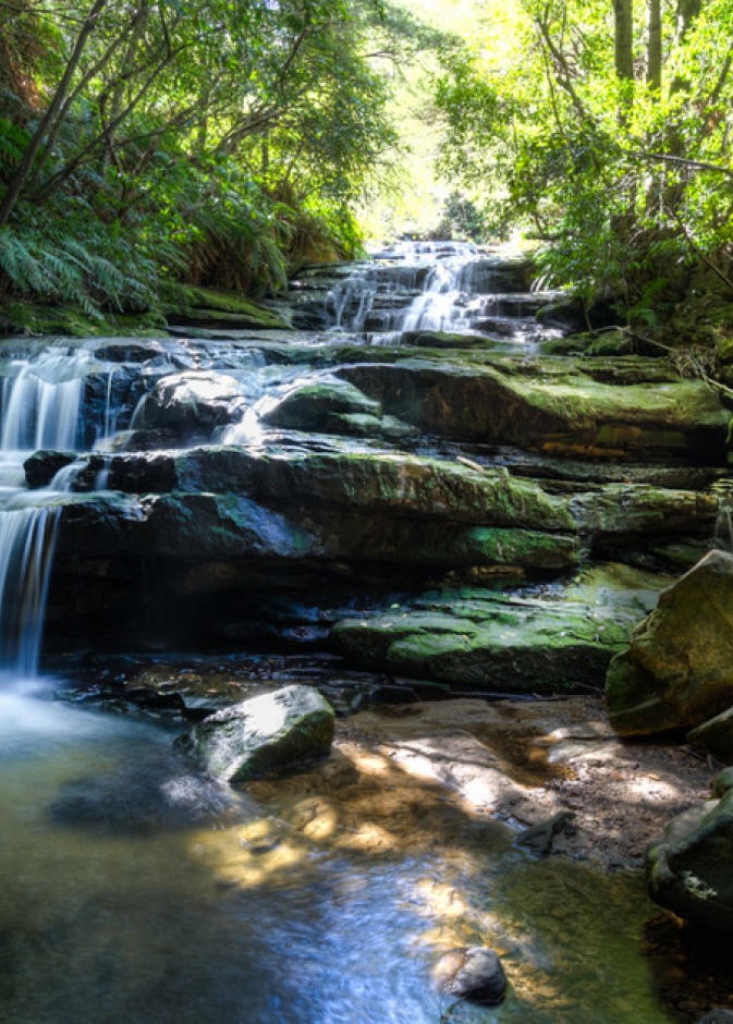 سحر الاقامة في قلب الطبيعة في الجبال الزرقاء أستراليا