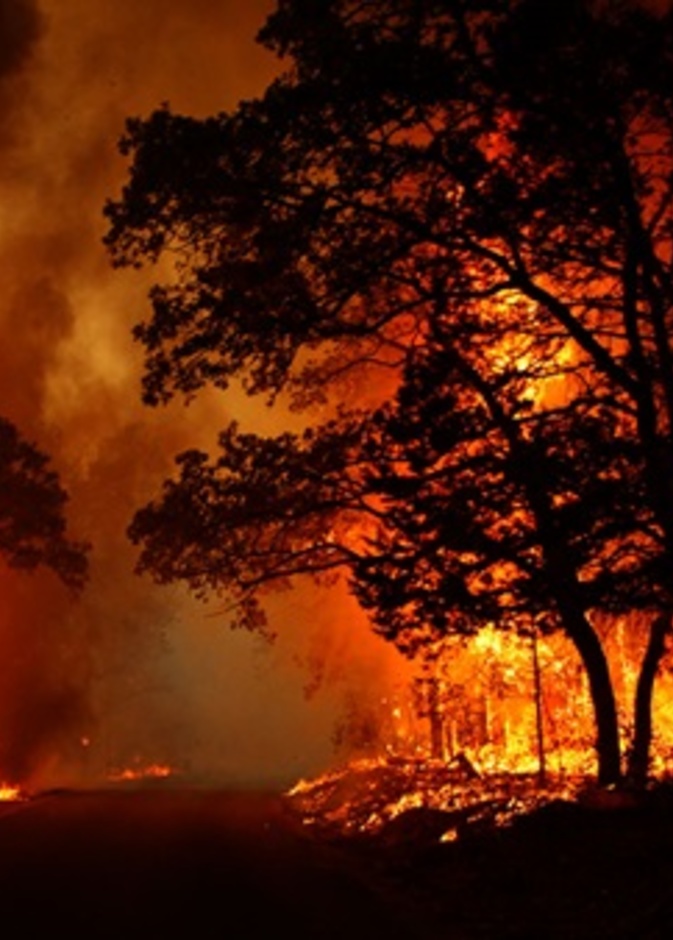 فرار الآلاف بسبب حرائق الغابات في كاليفورنيا