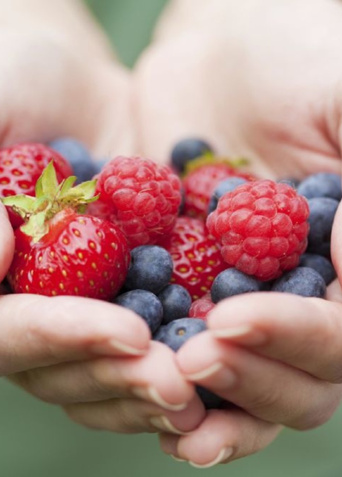 فوائد التوت عديدة في حرق دهون الجسم