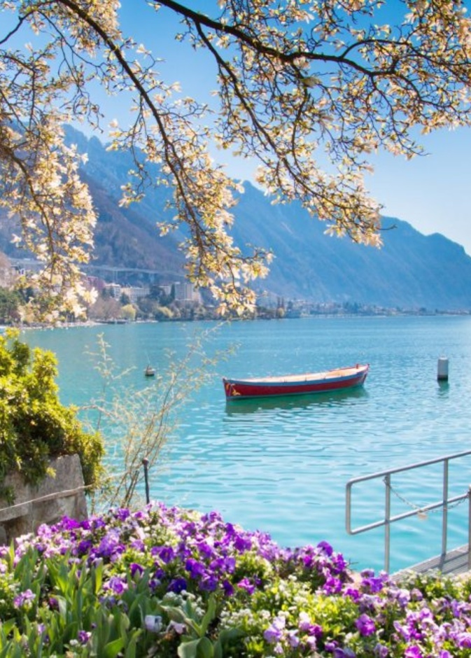 عطلة ساحرة في انترلاكن