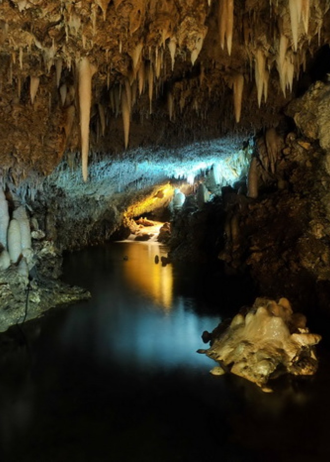 من كهف هاريسون