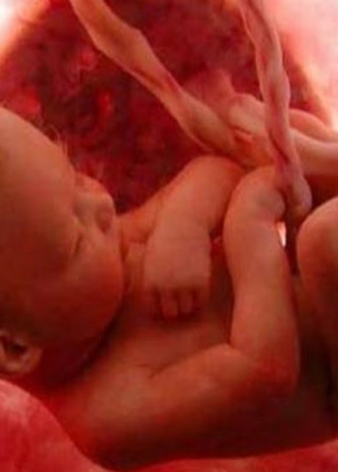 10اسباب لضعف حركة الجنين