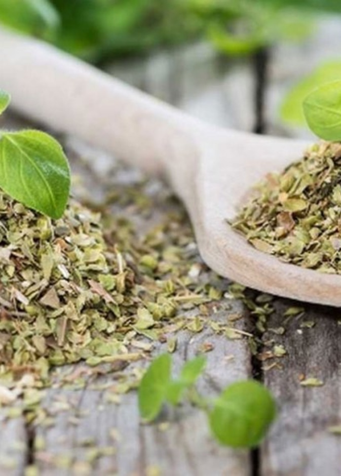  البردقوش ينظم الهرمونات في الجسم