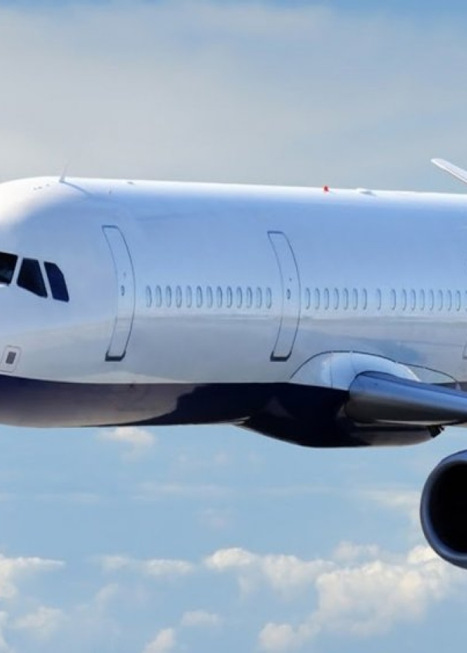 طلب يدها على متن الطائرة