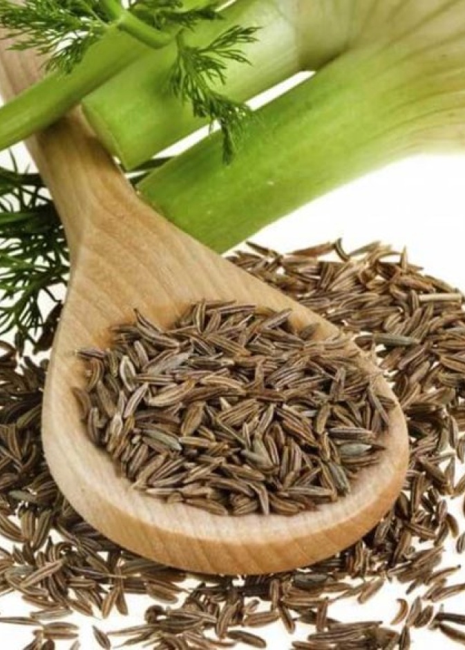 يسهل الشمر عملية الإخراج ويطهر البطن ويعالج متلازمة القولون المصاحبة للإمساك