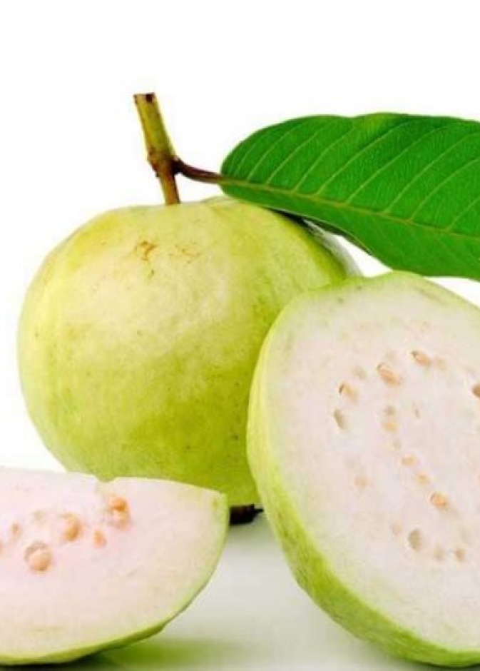 من فوائد الجوافة للحامل انها تحتوي على خمض الفوليك الهام جدا لوقاية الجنين من العيوب والتشوهات الخلقية