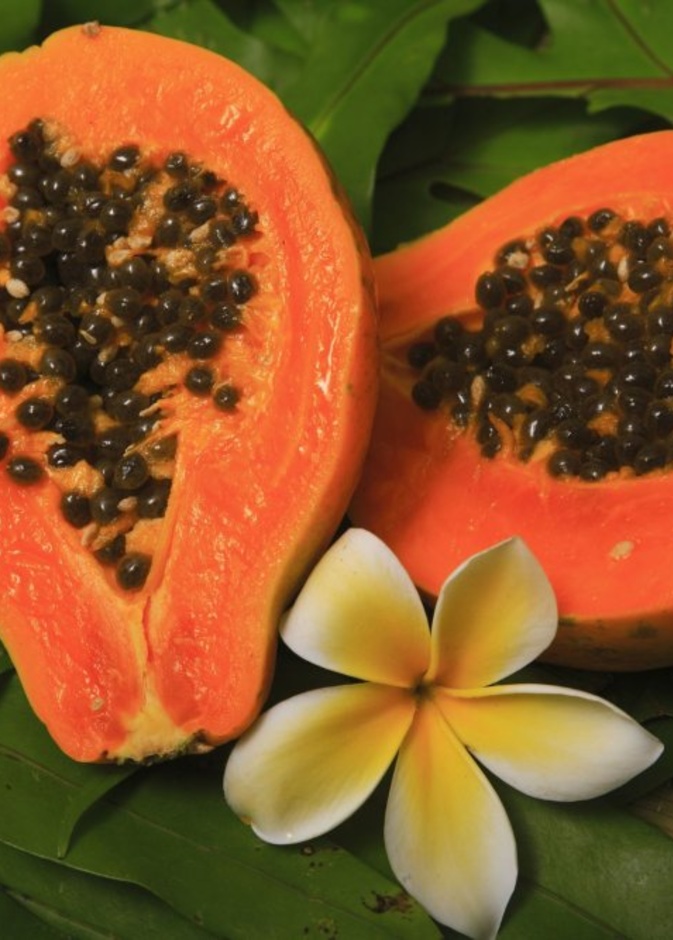 البابايا تمنحك قواما رشيقا ضمن رجيم متبع من الطبيب المختص