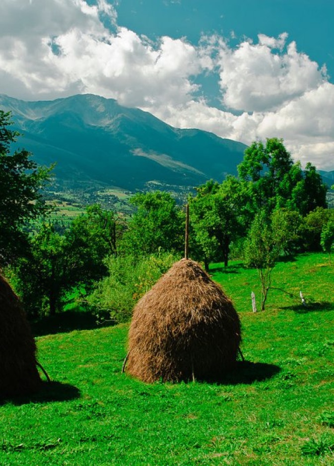 سحر الطبيعة في رودنا