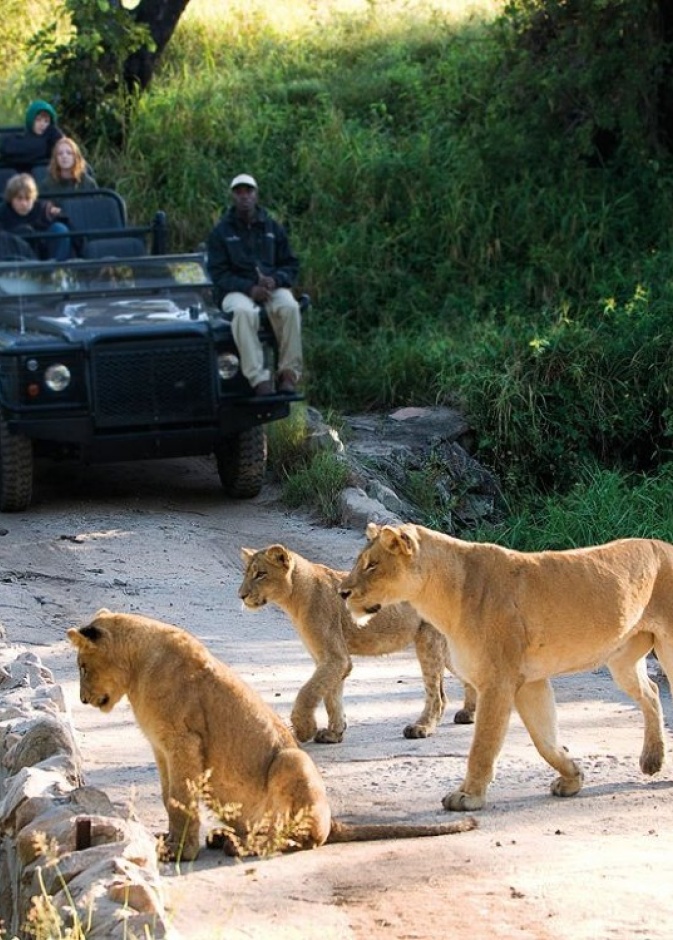 شواطئ جنوب افريقيا غاية في الروعة