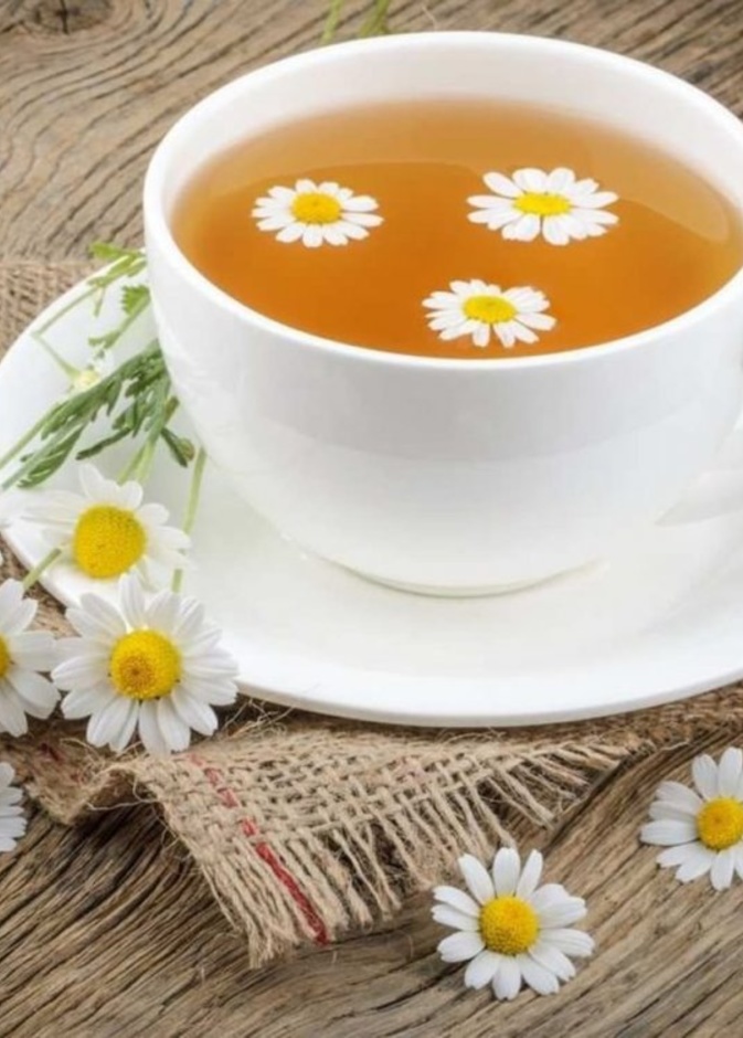 يقلل البابونج من تراكم الدهون الضارة في الجسم