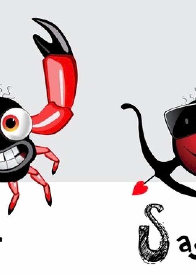 توافق برج القوس مع برج السرطان