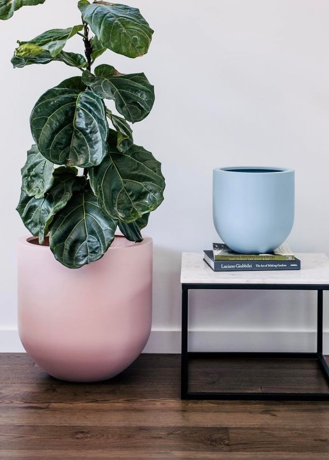 أحواض نباتات ملونة لتزيين سطح المدفأة.