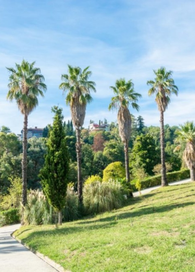 فندق Hyatt Regency Sochi 