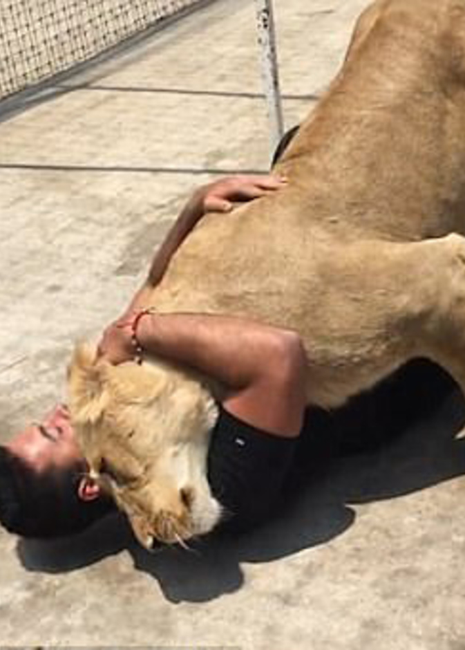 لحظة مؤثرة احتضنت فيها أنثى أسد رجل قام براعيتها