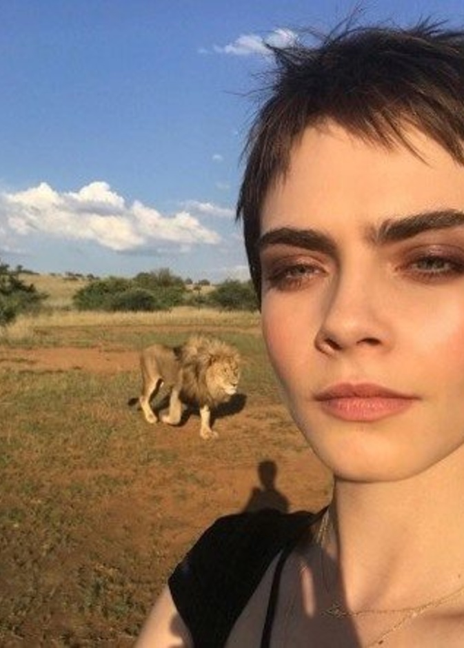 يبدو أن العارضة كارا ديليفين لا تهاب الأسود حيث نشرت هذه الصورة عبر حسابها على الانستقرام ضمن جلسة تصوير