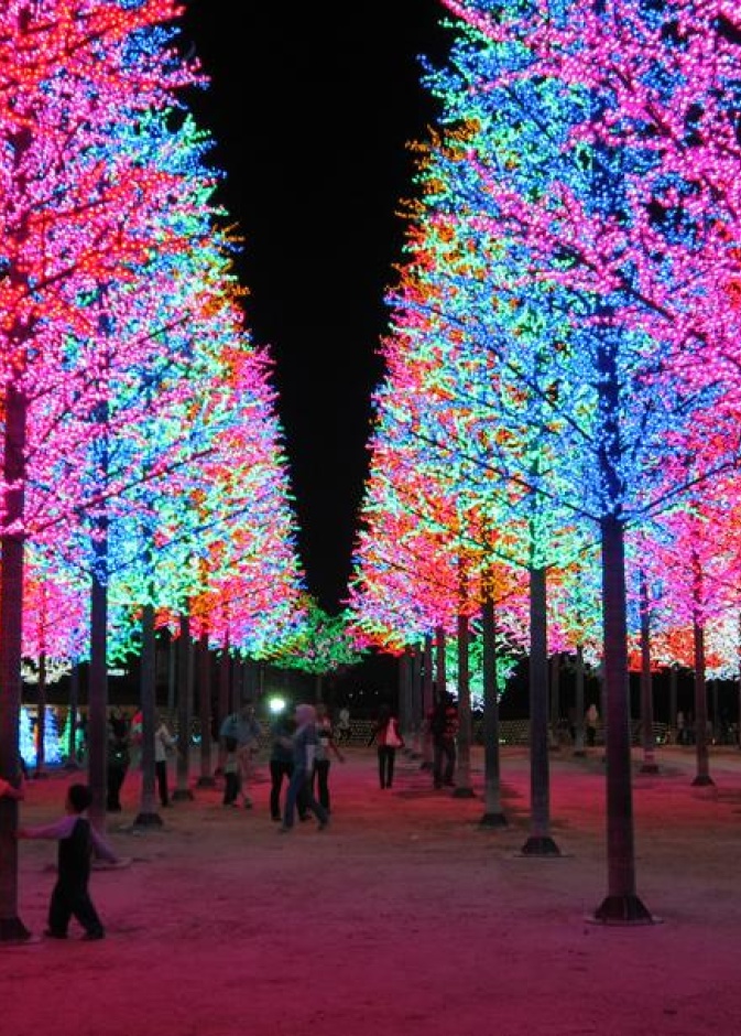 من حديقة حيوانات Negara