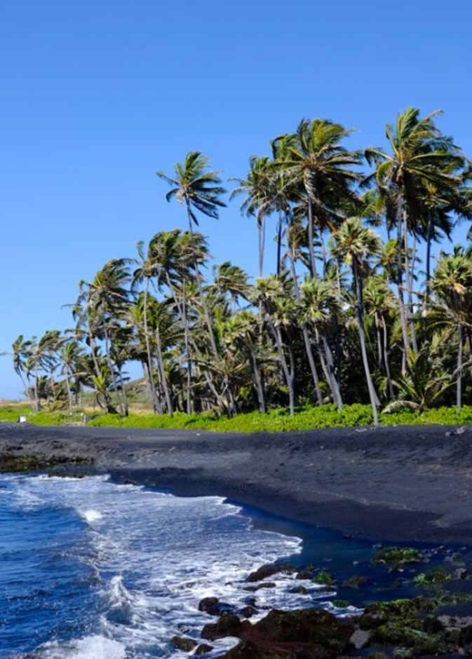 شاطئ Pfeiffer Beach يوجد بالقرب من غابة بيغ شور