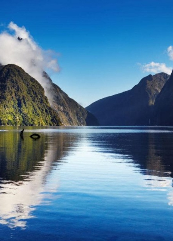 السياحية في نيوزيلندا