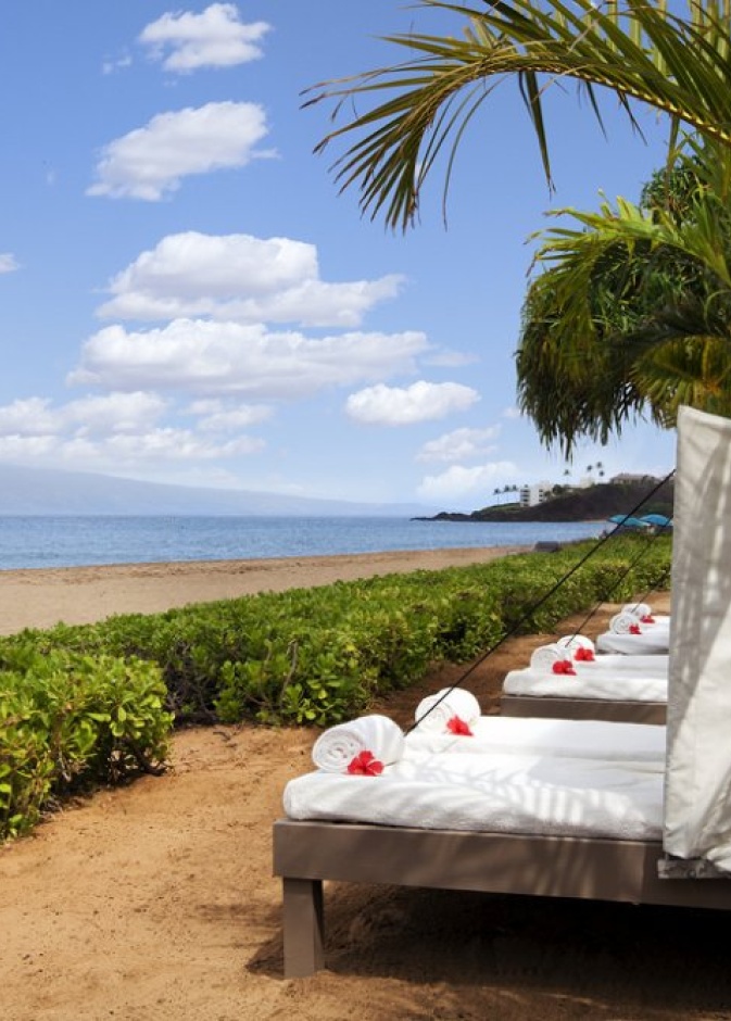 منتجع و سبا Shangri-La Mactan – اصناف المأكولات Shangri-La Mactan Resort & Spa - Food 