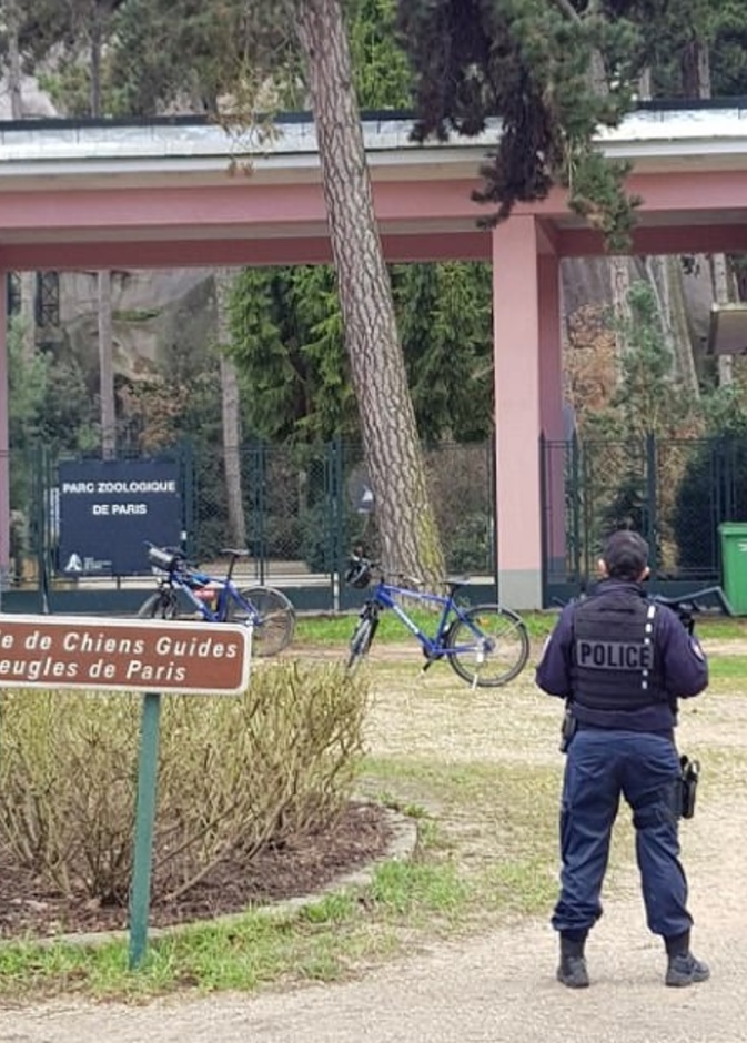 إمساك 48 قردا هاربا من أصل 52