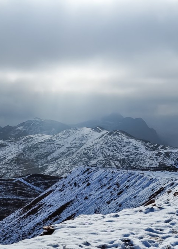 جبل اللوز ملتقى العائلات 