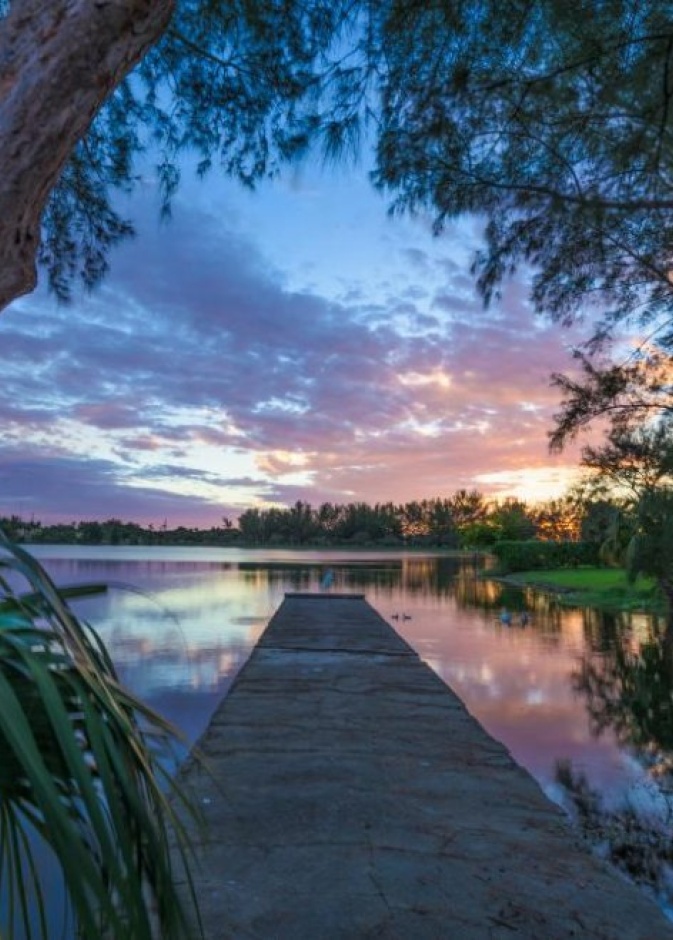 الحديقة الاستوائية