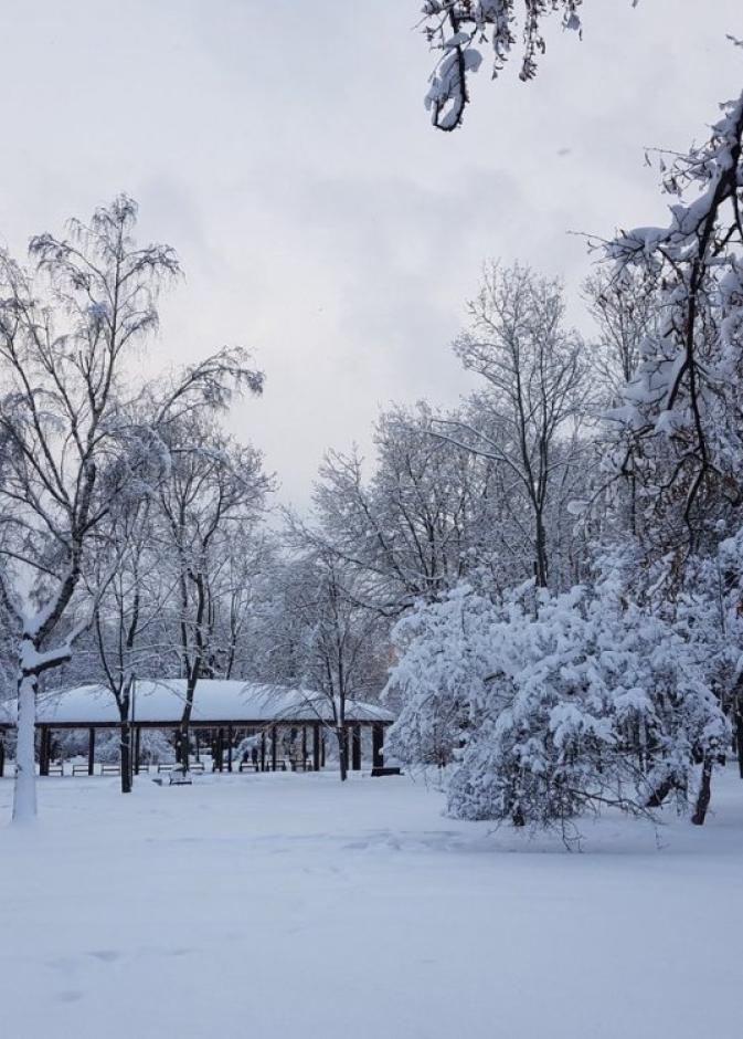 عاصفة ثلجية تجتاح موسكو