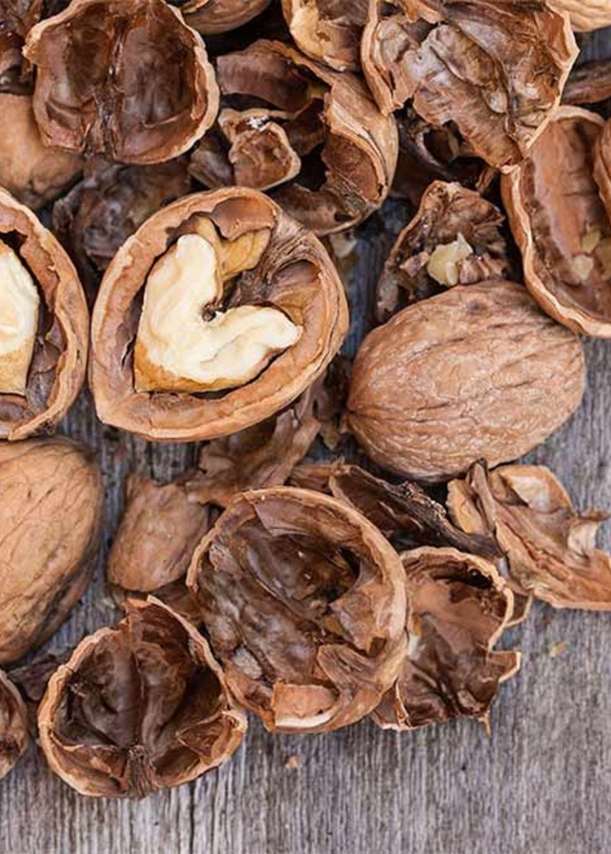 فوائد عين الجمل للتخسيس