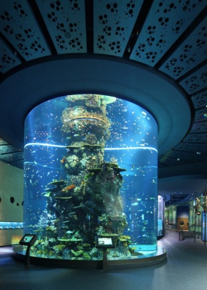 حوض الأكواريوم في مارين لايف بارك