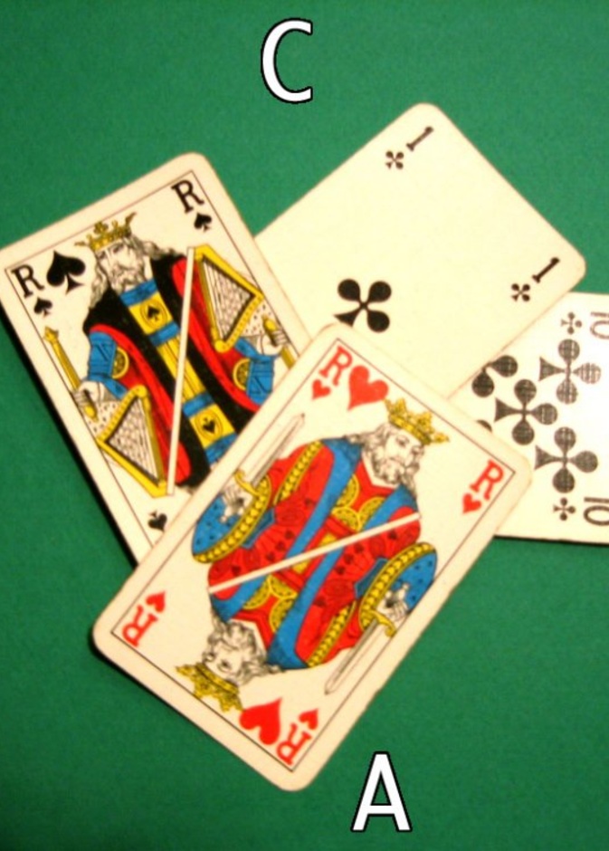 بطولة البلوت في السعودية تلقى رواج كبير بين الرجال والنساء