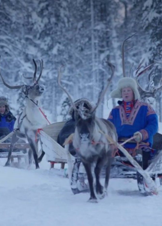 غرة نوم على شكل كبسولة - Treehotel فندق