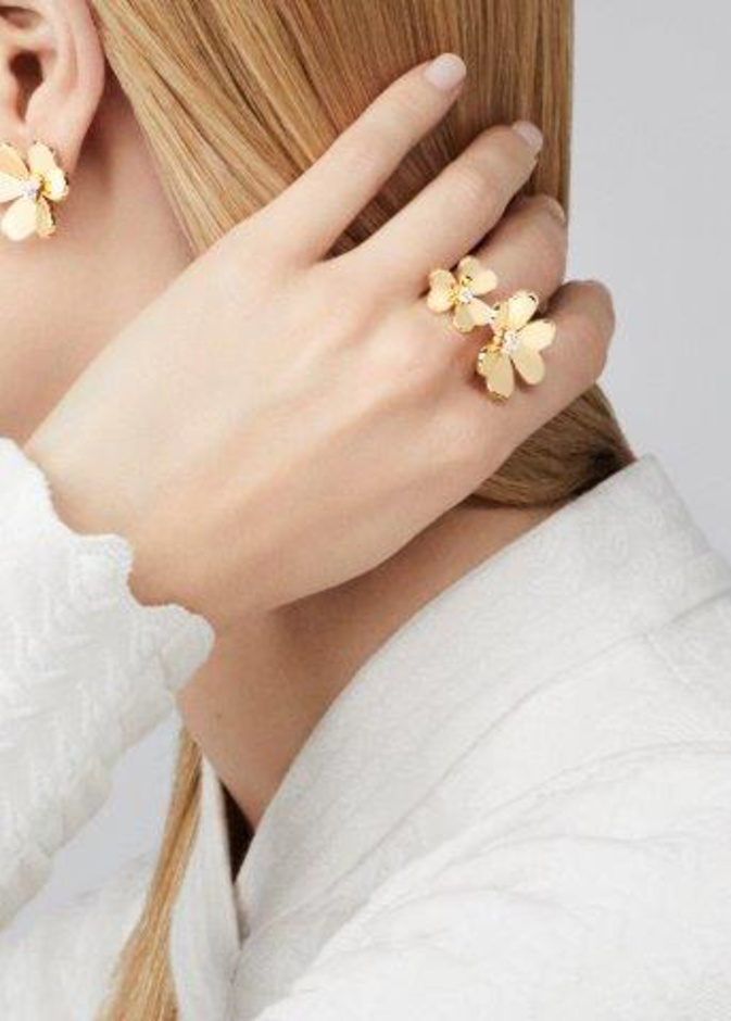 هذه الإبداعات الجديدة إشادة بالطبيعة الحية والعشوائية