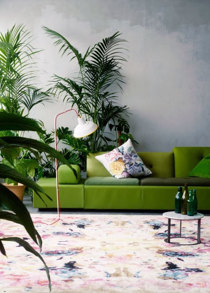 تصاميم متنوعة لأحواض النباتات تزين ديكور غرفة الجلوس