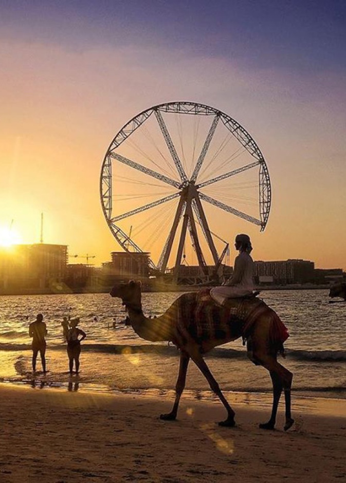 أجمل 3 شواطئ مفتوحة في دبي