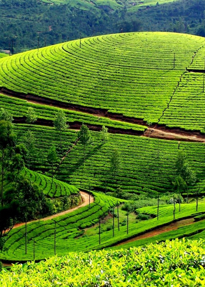 منظر من الطبيعة الرومانسية الساجرة لمدينة كوفالام كيرلا