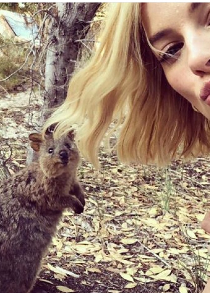 مارغوت روبي بصورة ظريفة مع حيوان الكوكا الأسترالي