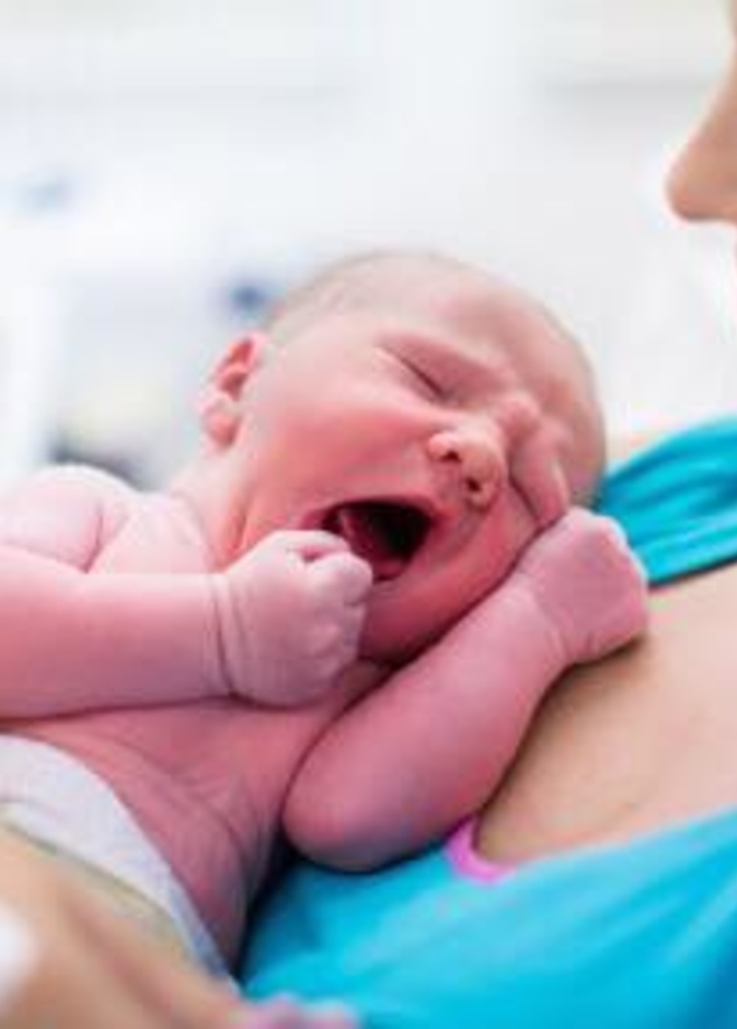 الاطعمة المفيدة للنفاس 