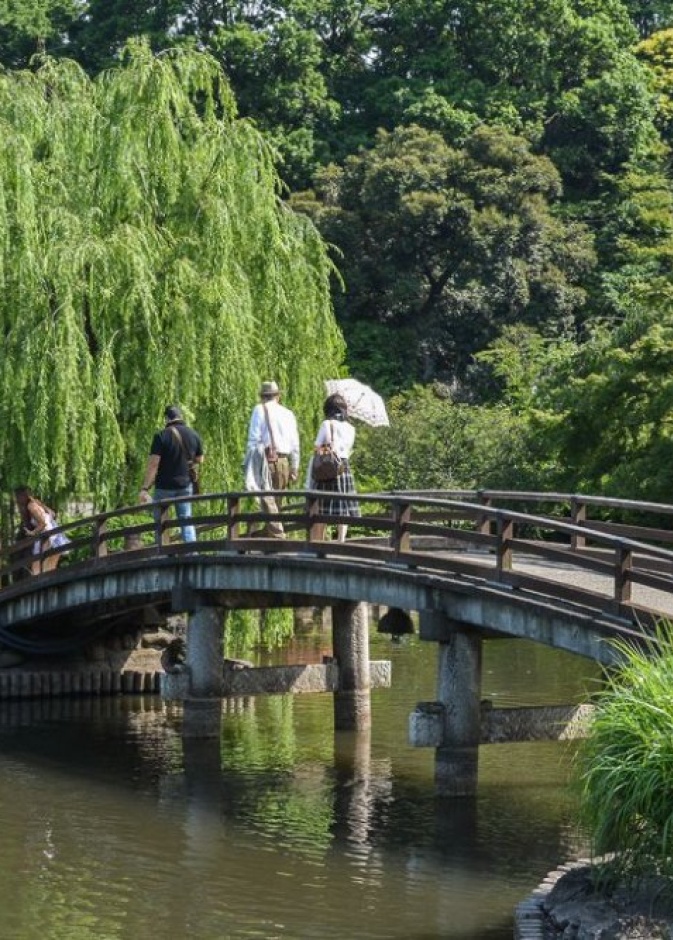 منتزه أوينو