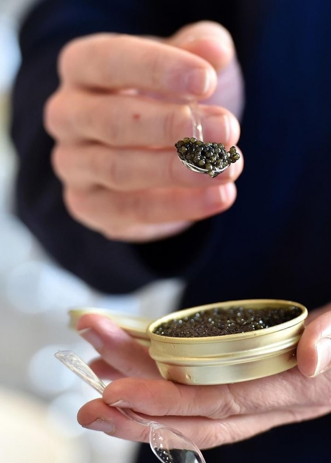 الكافيار مفيد للعظام ويقي من الأنيميا