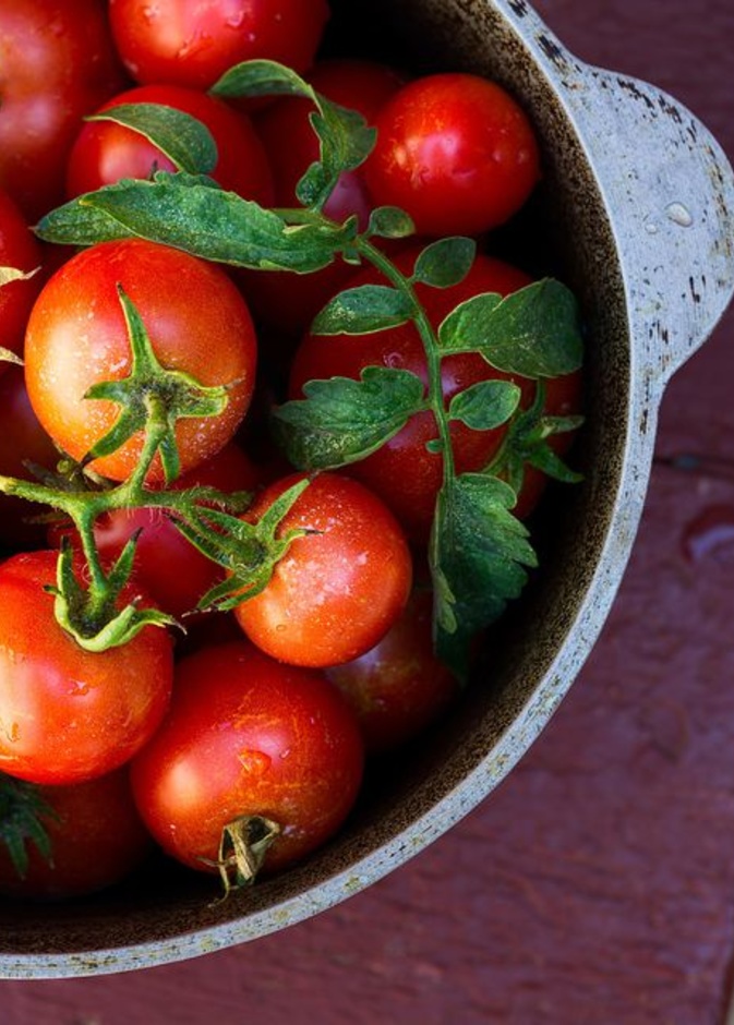 يفضل استخدام الطماطم الناضجة والطرية لتجميدها في الفريزر