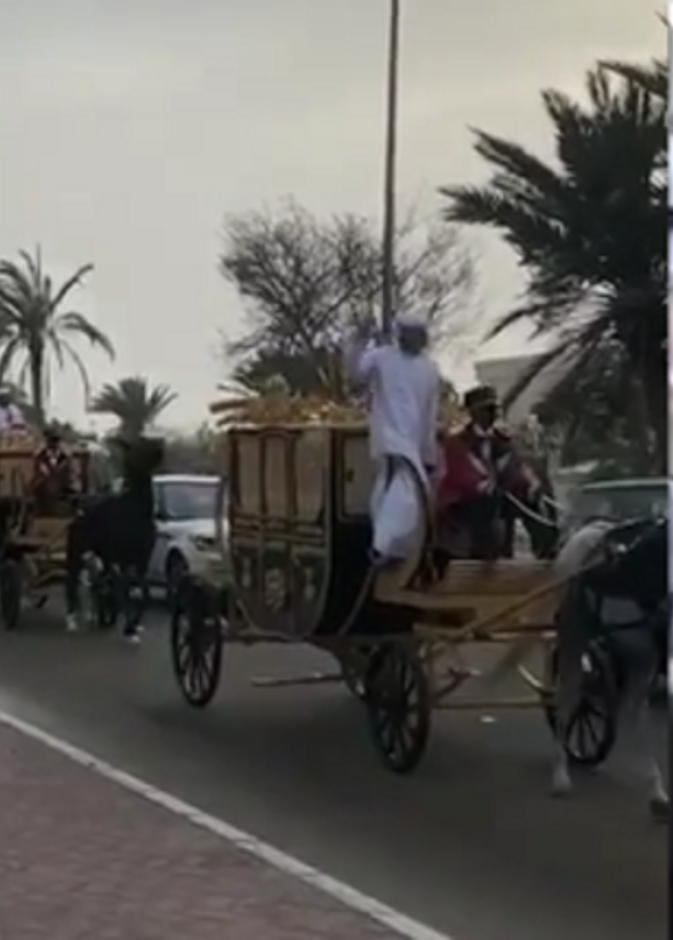 شارك في نقل الجهاز عربات الخيول والباصات