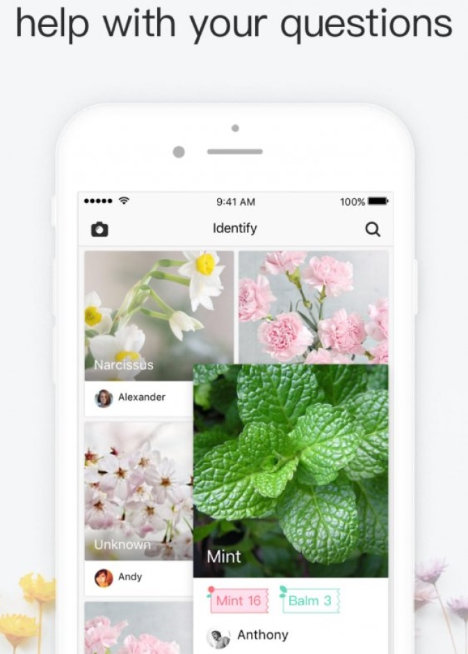 تطبيق Picturethis يمكنكم من معرفة انواع الاشجار و النباتات عن طريق تصويرها فقط بواسطة الكاميرا